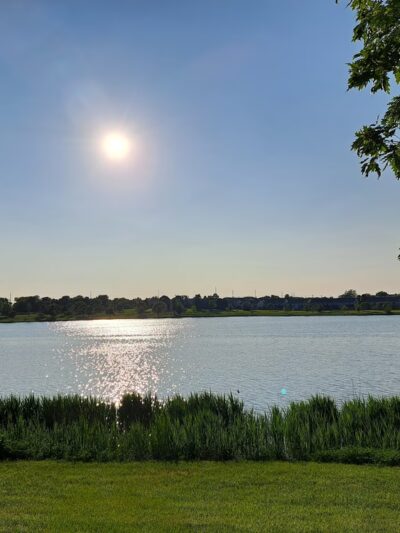 White Oak Park - Bloomington, IL