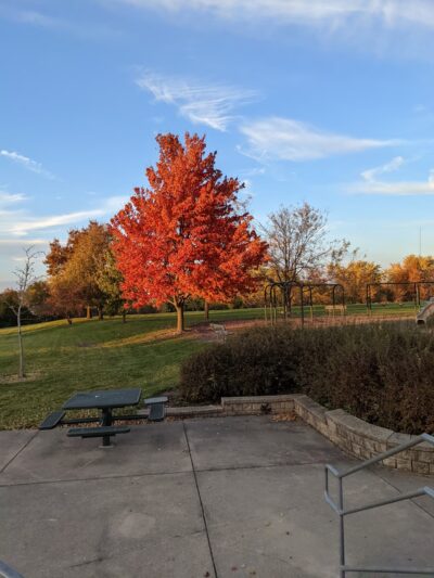 White Oak Park - Bloomington, IL