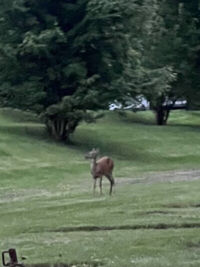 Dockside Campground - Bloomsburg, PA