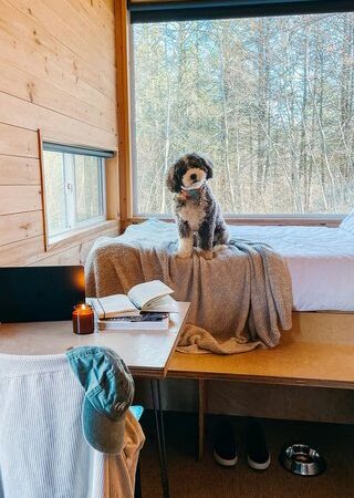 Postcard Cabins St. Francois - Bloomsdale, MO