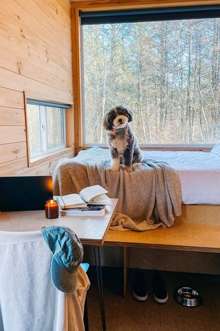 Postcard Cabins St. Francois - Bloomsdale, MO