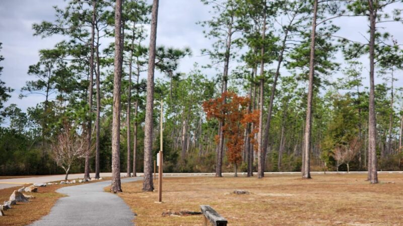 Sam Atkins Park - Blountstown, FL