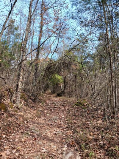 Falls Creek Loop Parking, Warrior’s Path State Park - Blountville, TN