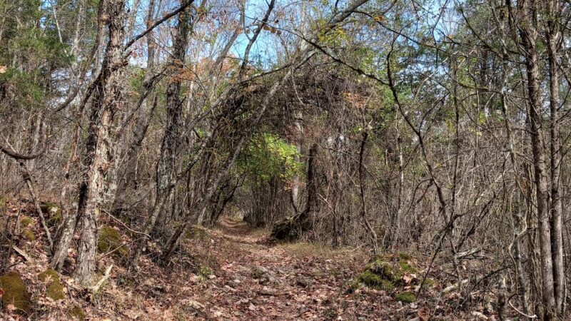 Falls Creek Loop Parking, Warrior’s Path State Park - Blountville, TN