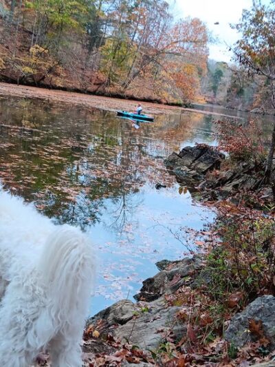 Falls Creek Loop Parking, Warrior’s Path State Park - Blountville, TN