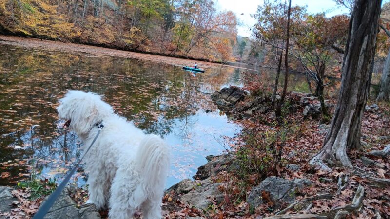 Falls Creek Loop Parking, Warrior’s Path State Park - Blountville, TN