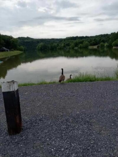 Falls Creek Loop Parking, Warrior’s Path State Park - Blountville, TN