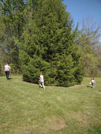 J. Allen Hurley Wellness Trail - Blountville, TN
