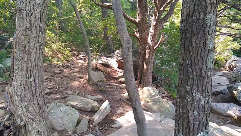 Bears Den - Bluemont, VA