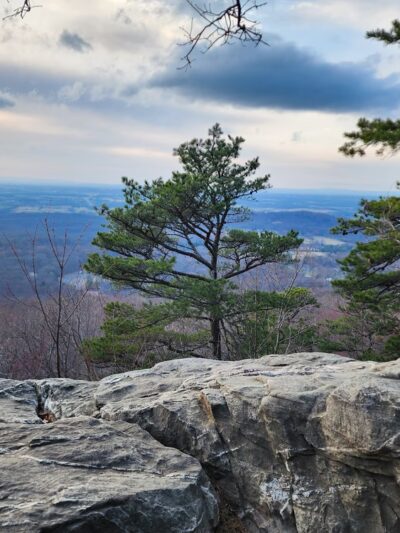 Bears Den - Bluemont, VA