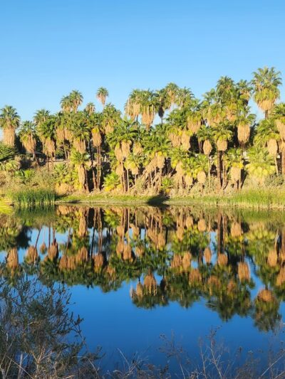 Quechan Park - Blythe, CA