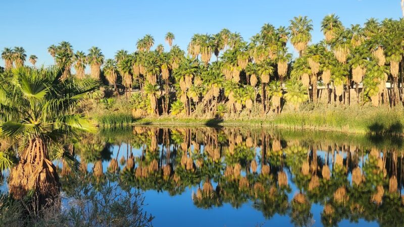 Quechan Park - Blythe, CA