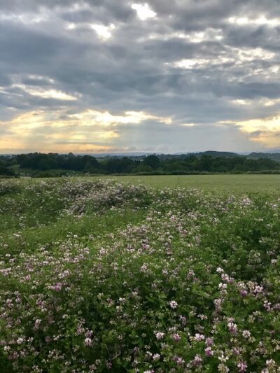 Oak Hall Regional Park - Boalsburg, PA