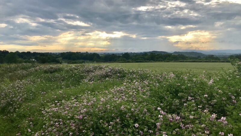 Oak Hall Regional Park - Boalsburg, PA