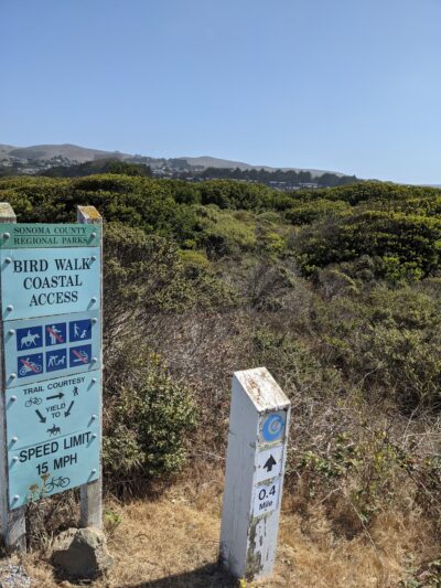 Birdwalk Coastal Access Trail - Bodega Bay, CA