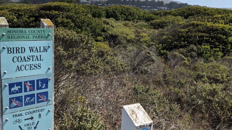 Birdwalk Coastal Access Trail - Bodega Bay, CA