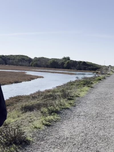Birdwalk Coastal Access Trail - Bodega Bay, CA