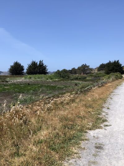 Birdwalk Coastal Access Trail - Bodega Bay, CA