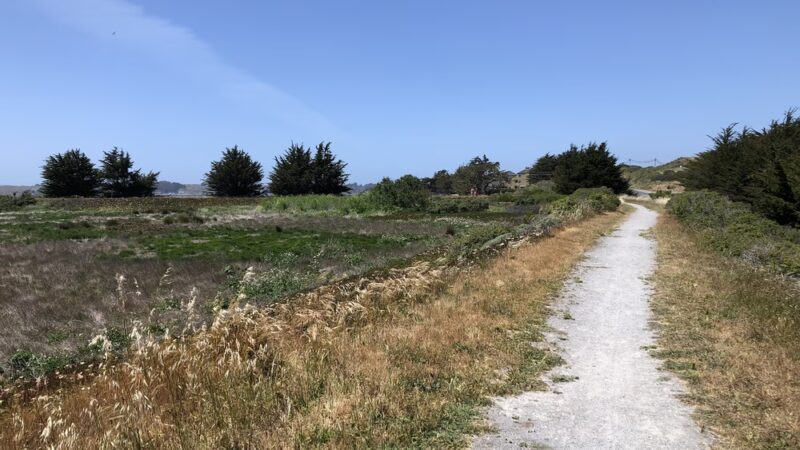 Birdwalk Coastal Access Trail - Bodega Bay, CA