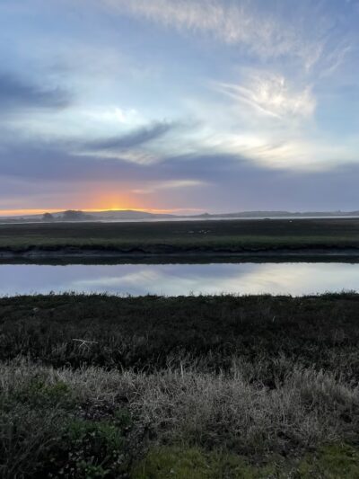 Birdwalk Coastal Access Trail - Bodega Bay, CA