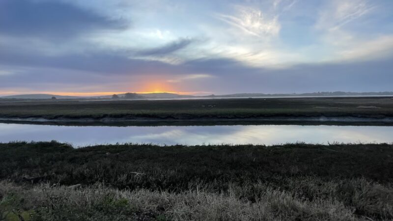 Birdwalk Coastal Access Trail - Bodega Bay, CA