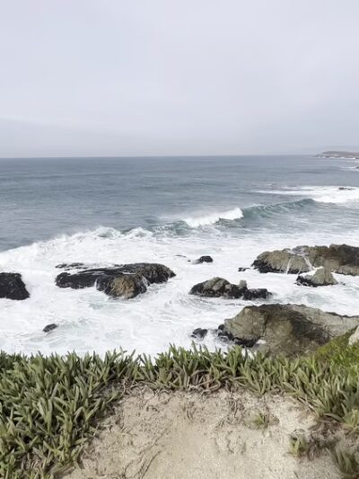 Bodega Head Trail - Bodega Bay, CA