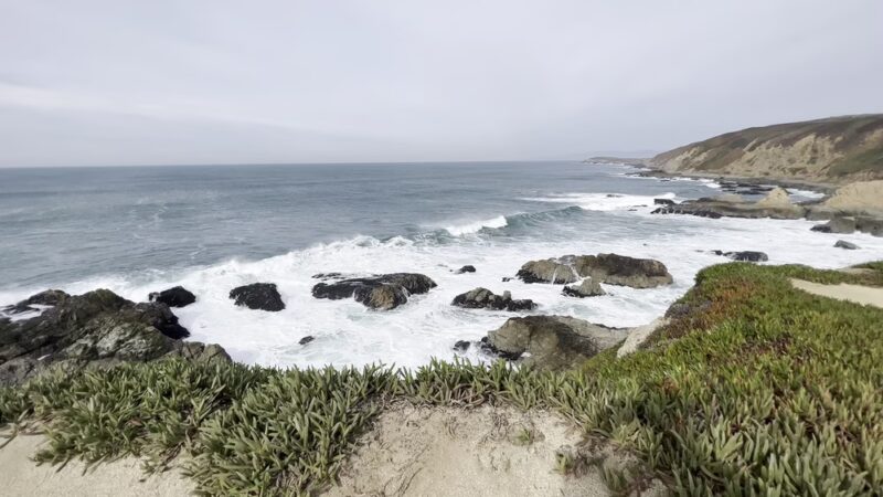 Bodega Head Trail - Bodega Bay, CA