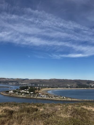 Bodega Head Trail - Bodega Bay, CA