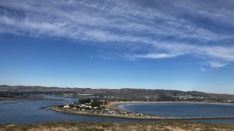 Bodega Head Trail - Bodega Bay, CA
