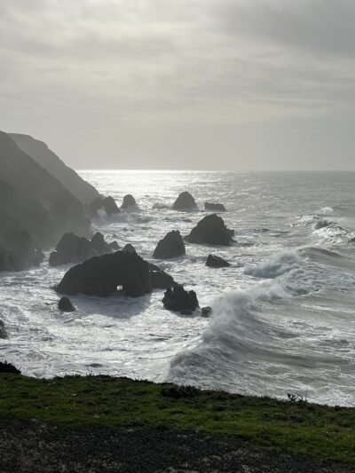 Bodega Head Trail - Bodega Bay, CA