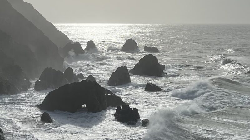 Bodega Head Trail - Bodega Bay, CA