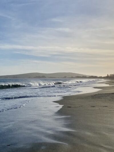 Doran Beach - Bodega Bay, CA