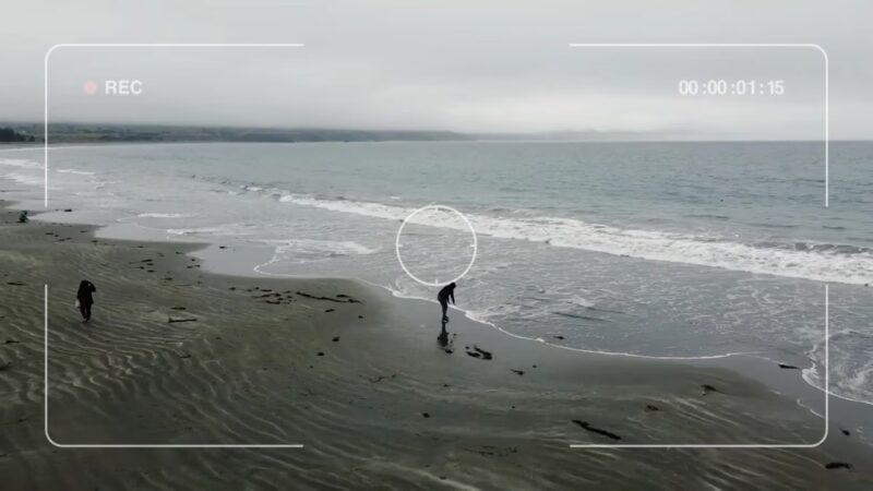 Doran Beach - Bodega Bay, CA