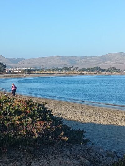 Doran Beach - Bodega Bay, CA