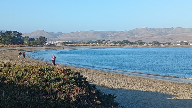 Doran Beach - Bodega Bay, CA