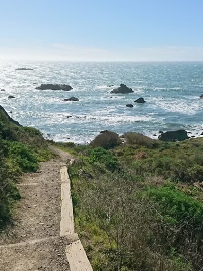 Rock Point Beach - Bodega Bay, CA