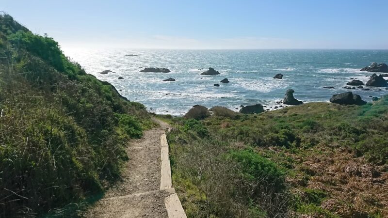 Rock Point Beach - Bodega Bay, CA