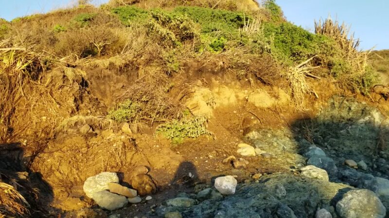 Rock Point Beach - Bodega Bay, CA