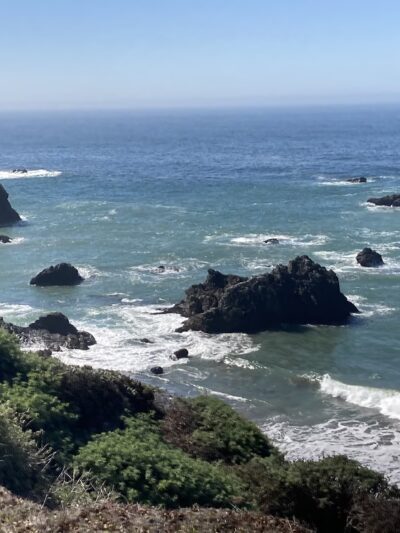 Rock Point Beach - Bodega Bay, CA