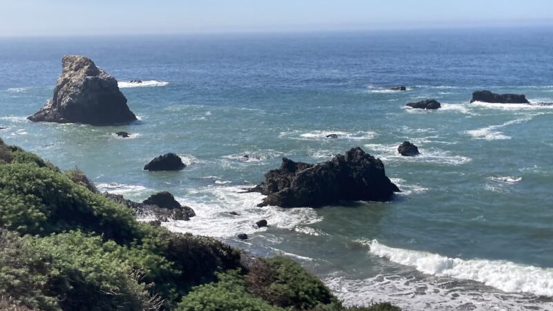 Rock Point Beach - Bodega Bay, CA