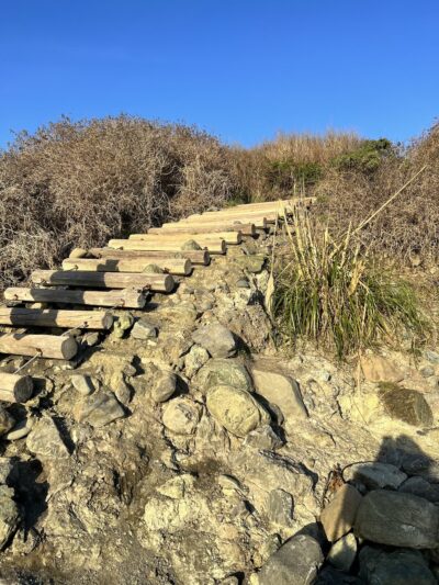 Rock Point Beach - Bodega Bay, CA