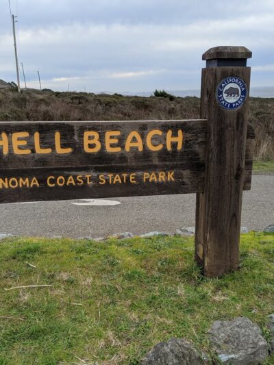 Rock Point Beach - Bodega Bay, CA
