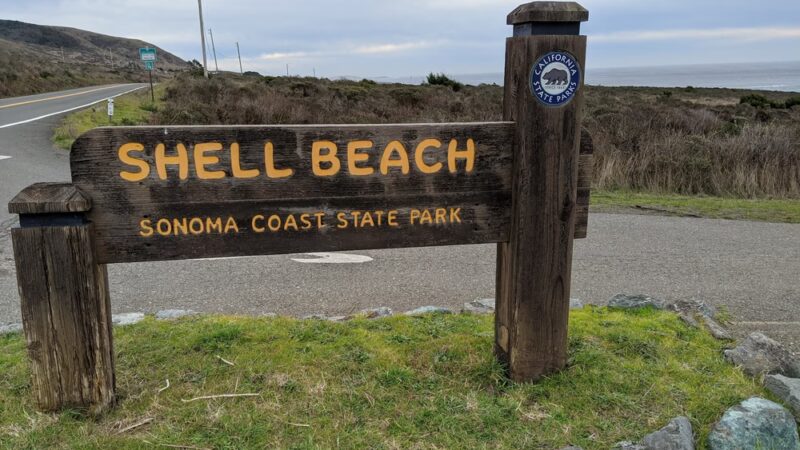 Rock Point Beach - Bodega Bay, CA