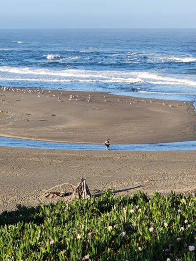 Salmon Creek State Beach - Bodega Bay, CA