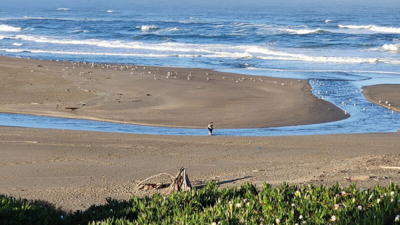Salmon Creek State Beach - Bodega Bay, CA