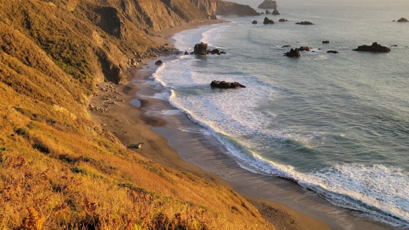 Salmon Creek State Beach - Bodega Bay, CA