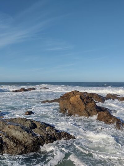 Salmon Creek State Beach - Bodega Bay, CA