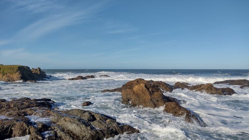 Salmon Creek State Beach - Bodega Bay, CA