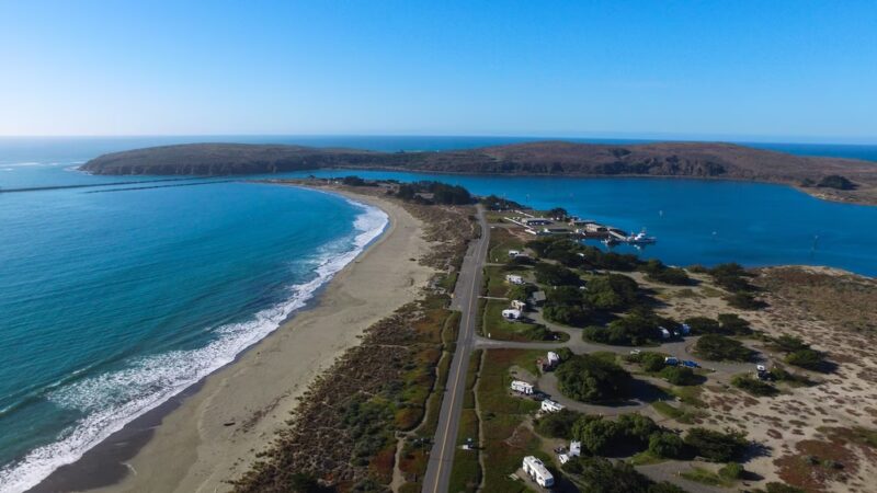 The Dog House - Bodega Bay, CA