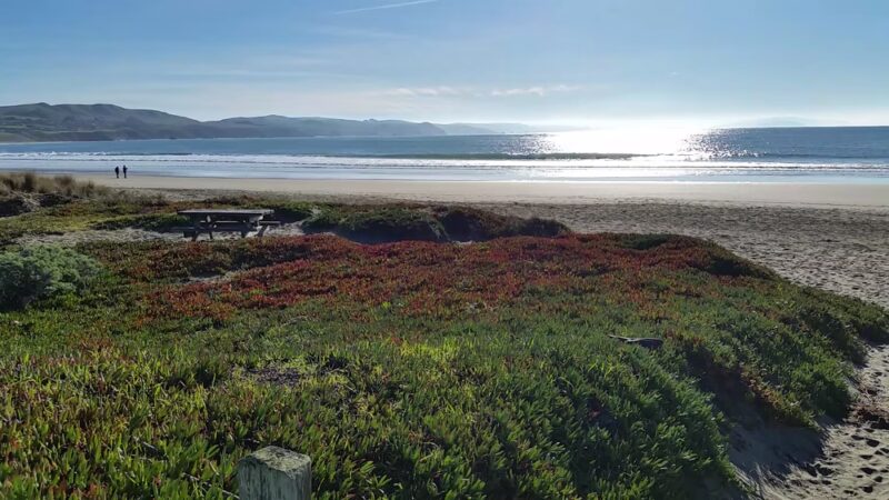 The Dog House - Bodega Bay, CA
